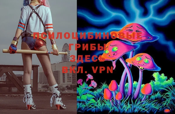 дмт Армянск