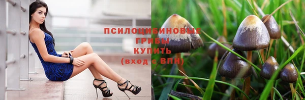 дмт Армянск