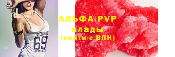 дмт Аркадак