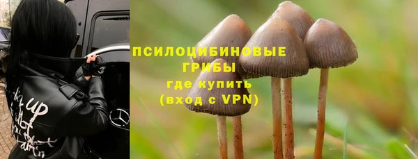 дмт Армянск
