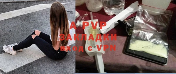 дмт Аркадак