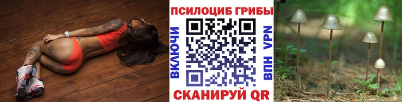 Псилоцибиновые грибы GOLDEN TEACHER  Сертолово 